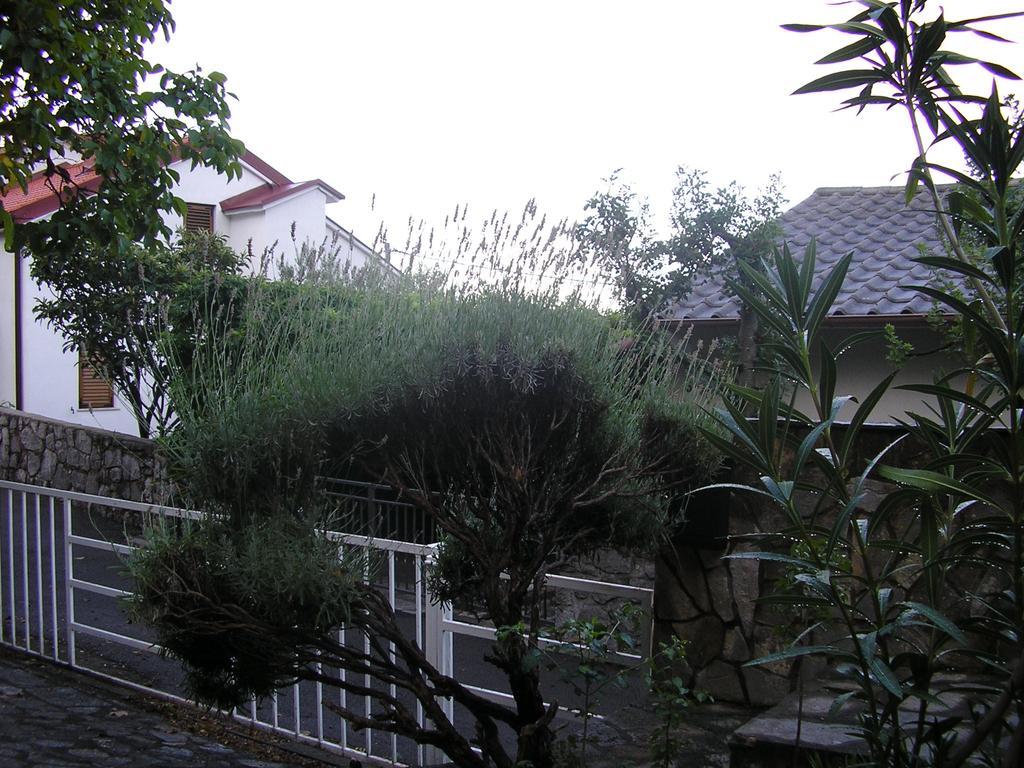 Apartment Bilic Klenovica Ruang foto